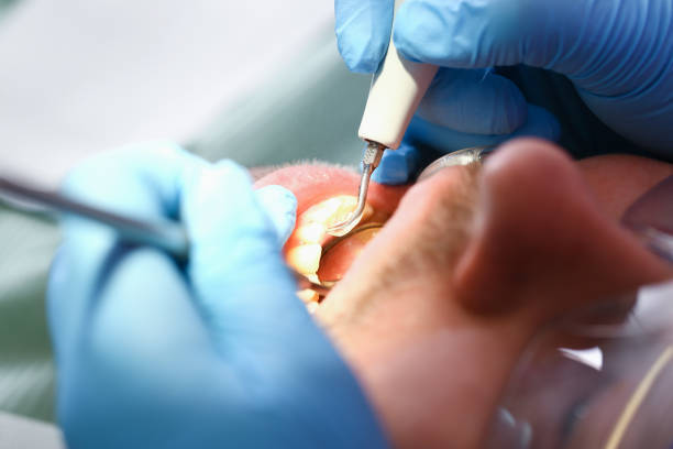 Best Emergency Dental Services Near Me  in Forrest, IL